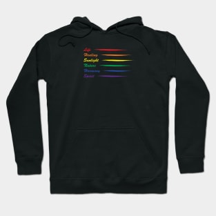 Gay Pride Flag Rainbow Meaning Hoodie